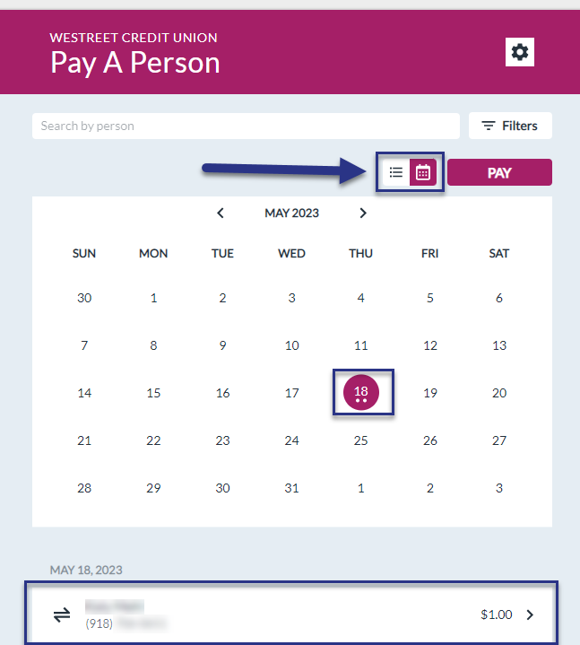 Screenshot of Person to Person Payment system