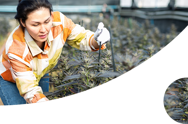 female farmer in the field