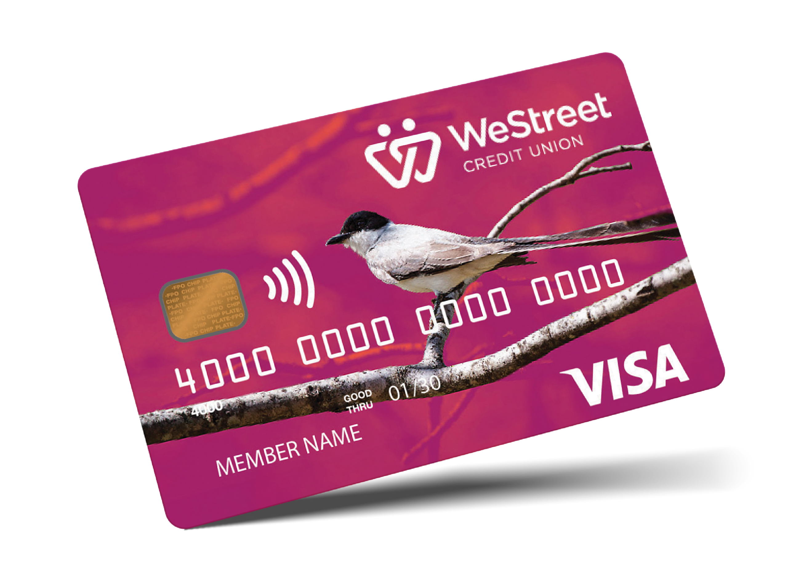 Scissortail on a branch with radish background on WeStreet credit card