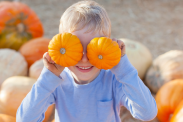 Little Boy Holding Two Small Pumpkins in Front of His Eyes
